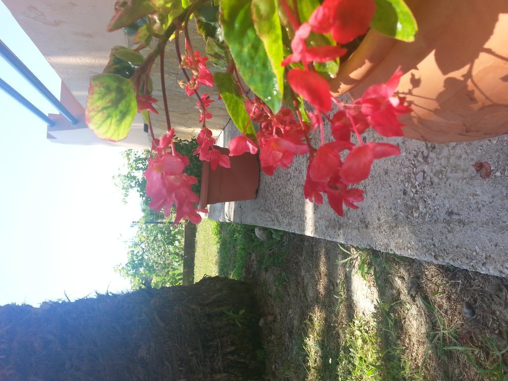 Feakes Apartments Arillas  Zewnętrze zdjęcie