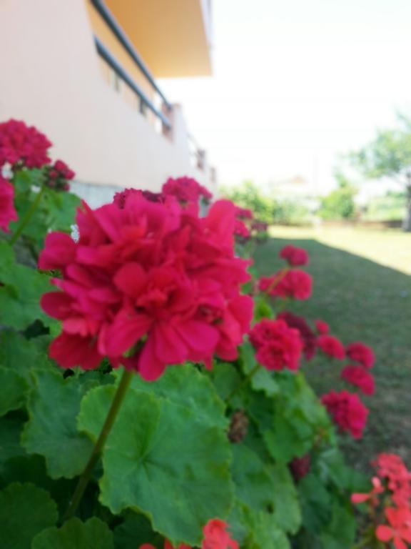 Feakes Apartments Arillas  Zewnętrze zdjęcie